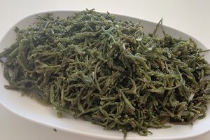 DENİZ BÖRÜLCESİ
